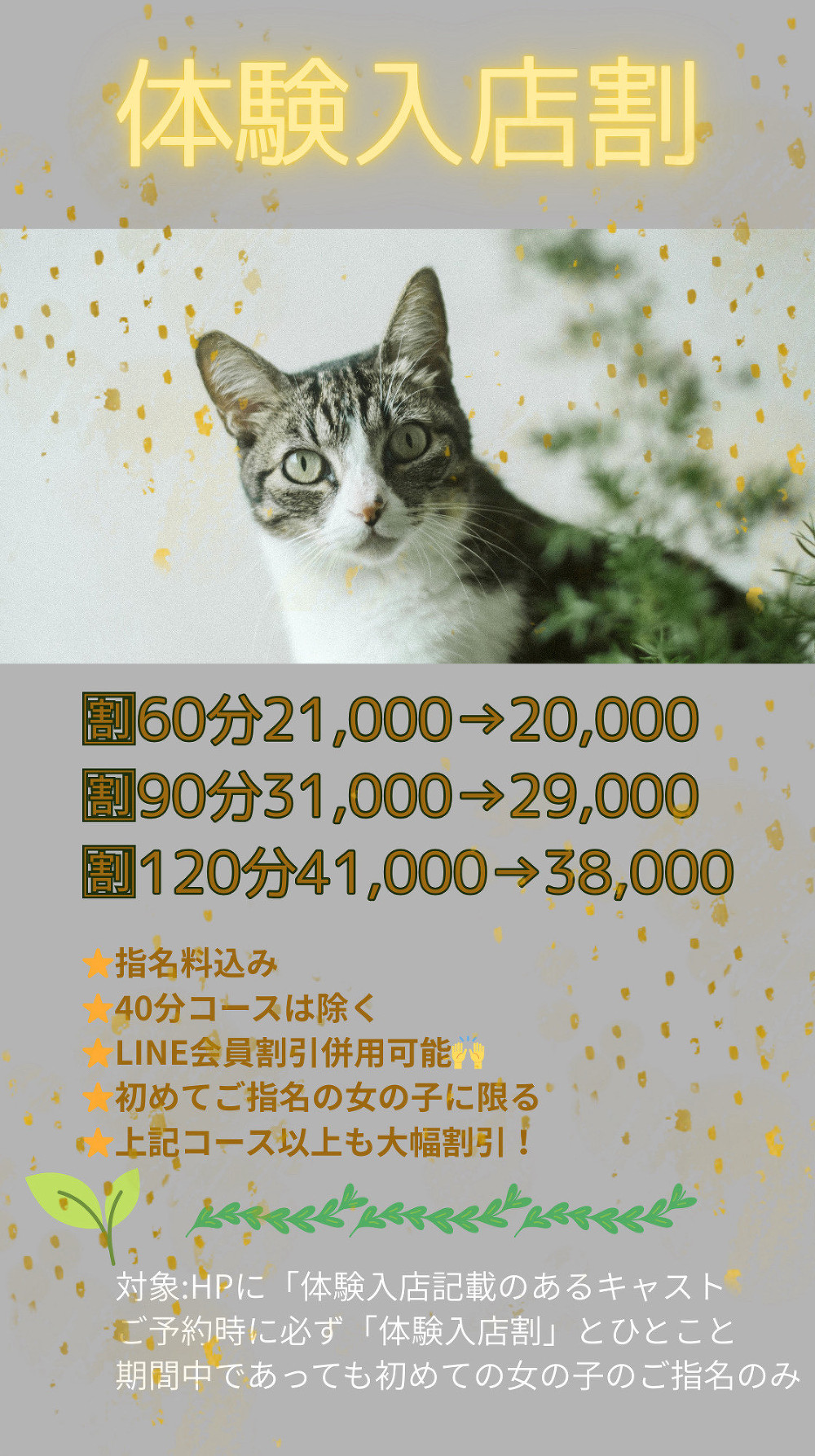 写真を拡大する 写真を拡大する