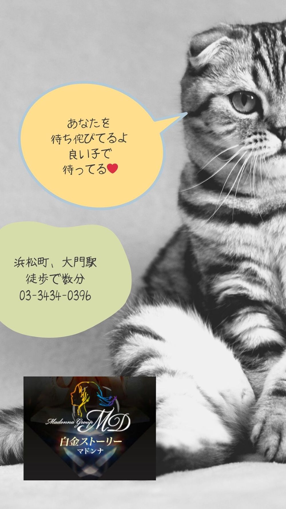 🐈