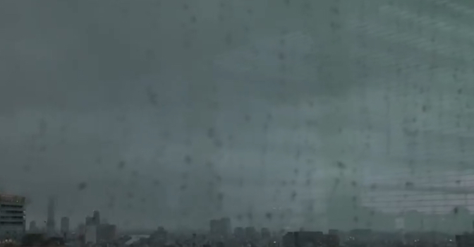 あ、雨だぁ〜🫩
