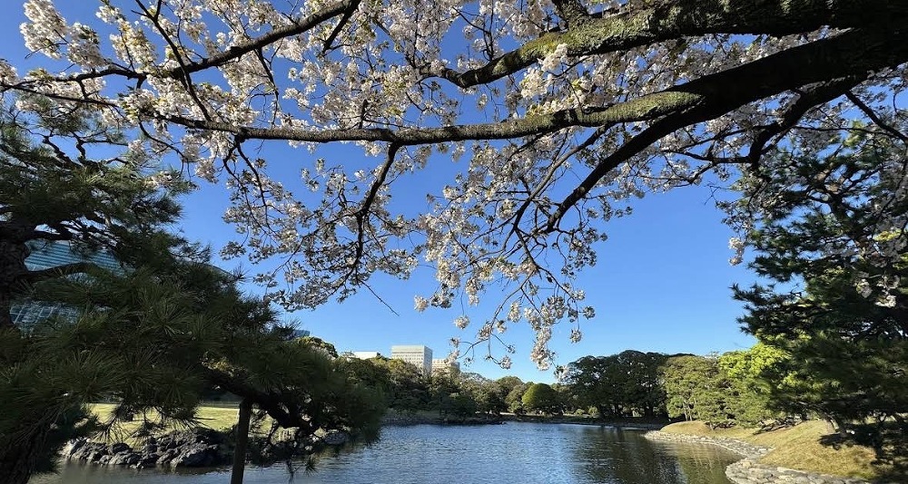 4月スタート🌸