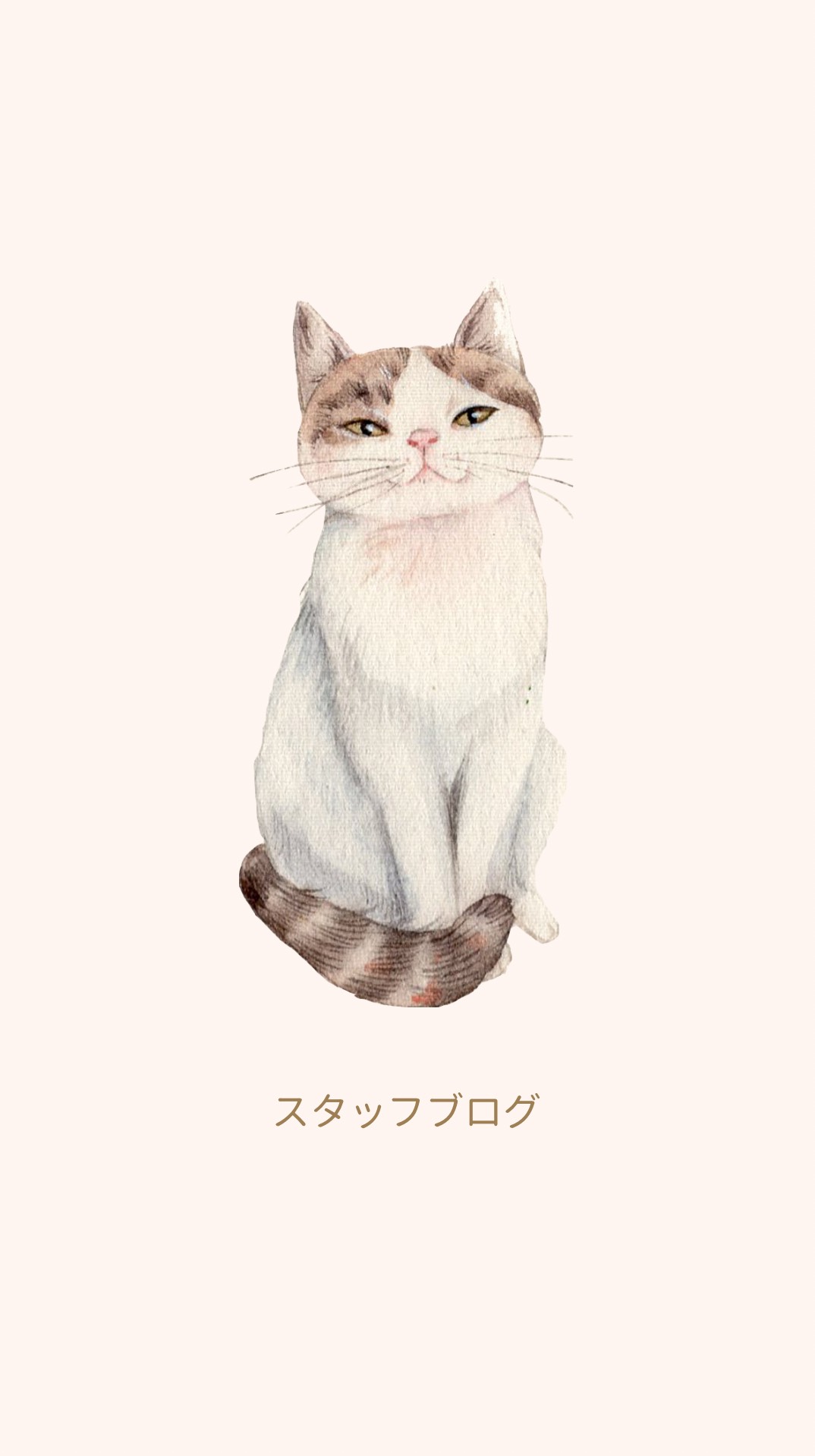 スタッフブログ