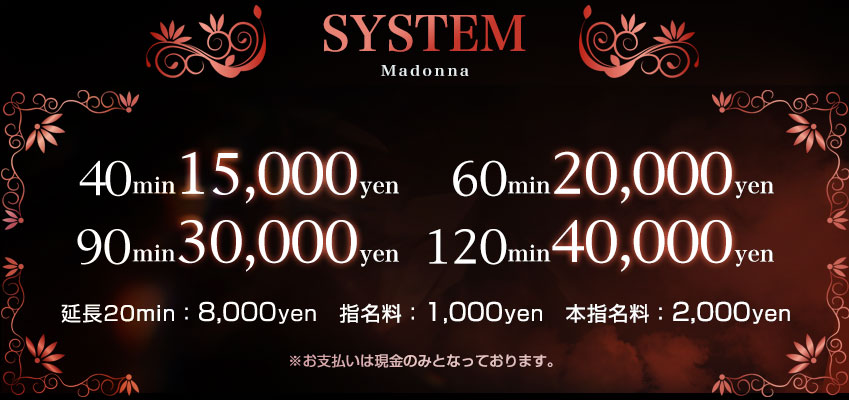システム料金