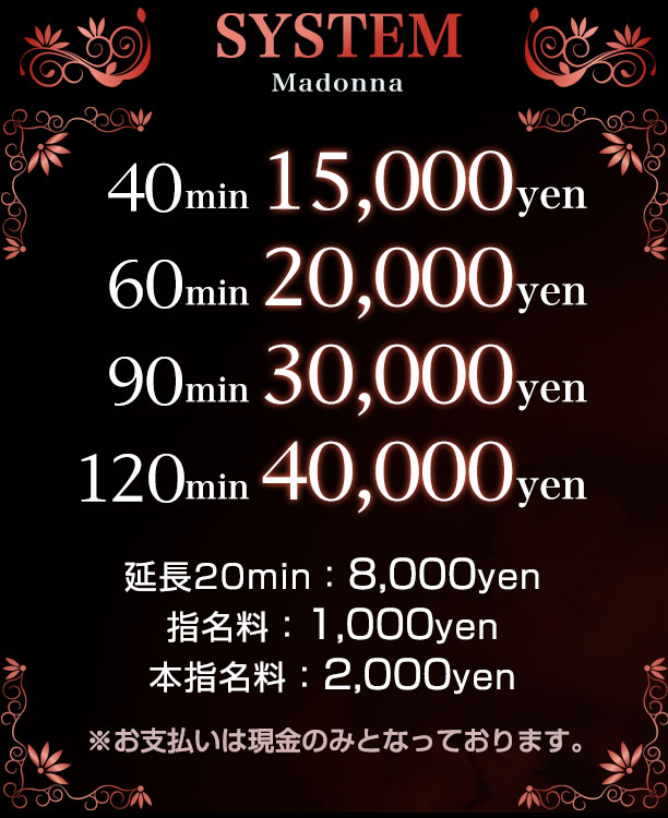 システム料金